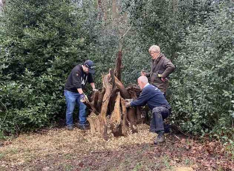 Broedstoof in Asserbos Asserbos-4 