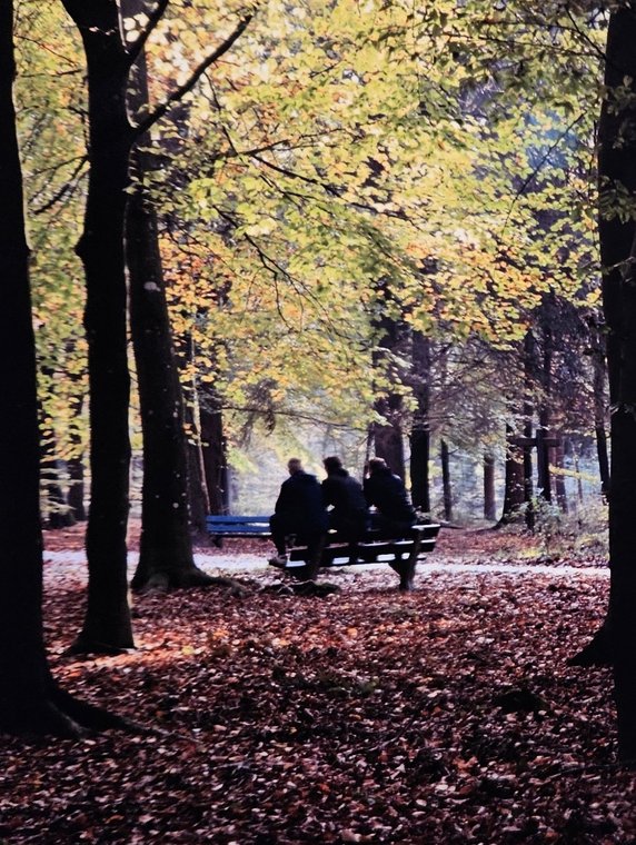 Foto van de week