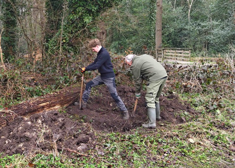 Broedstoof in Asserbos Asserbos-1 