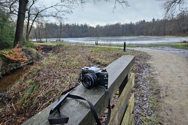 FOTOWEDSTRIJD MIJN ASSERBOS