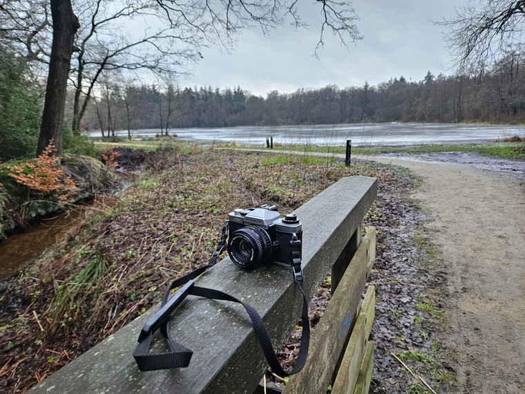 FOTOWEDSTRIJD MIJN ASSERBOS