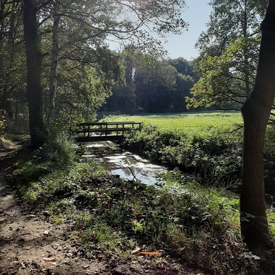 WATERSYSTEEMANALYSE ASSERBOS