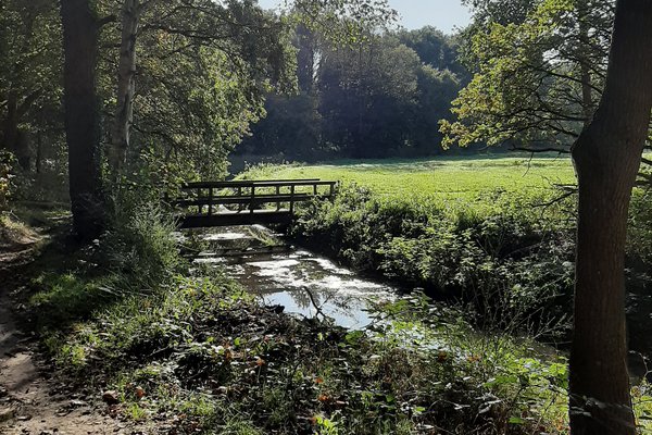 WATERSYSTEEMANALYSE ASSERBOS