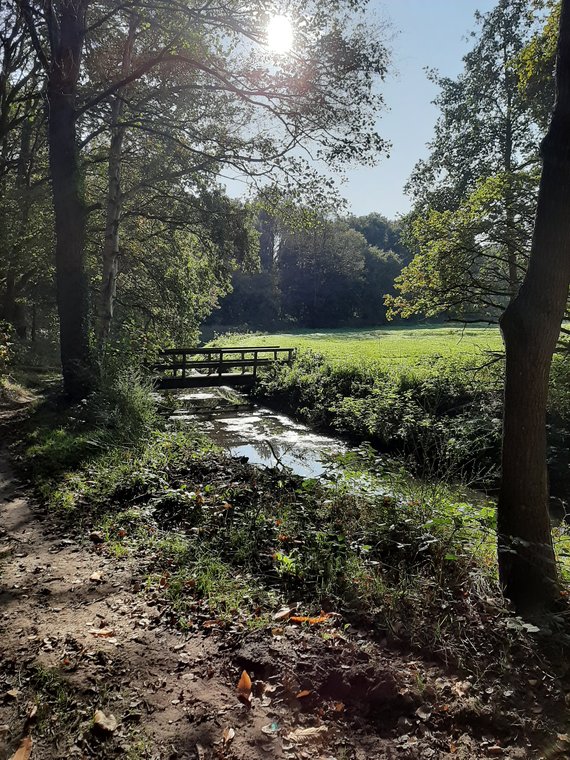 WATERSYSTEEMANALYSE ASSERBOS