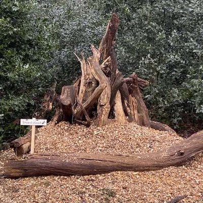 Broedstoof in Asserbos